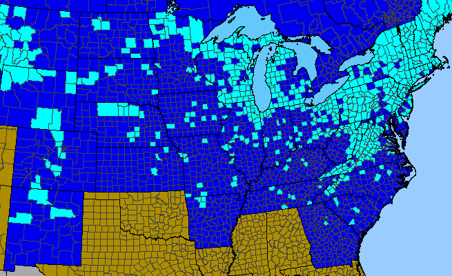 The range of Silene vulgaris